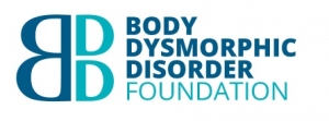 BDD foundation banner